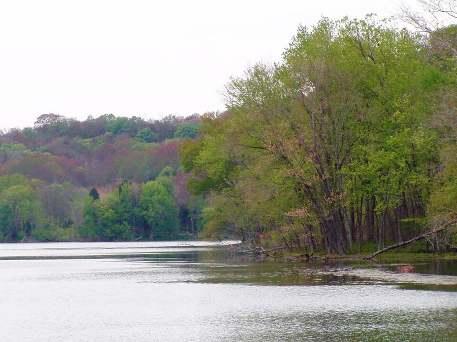 Radnor Lake